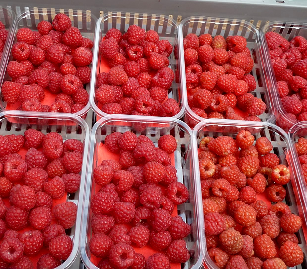 raspberries in punnets