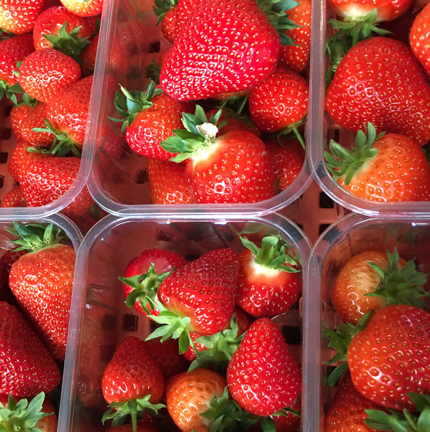 Strawberries in punnets