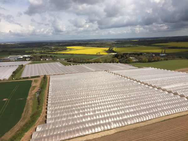 arial view of fields